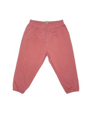 Madder Red Solid Pant